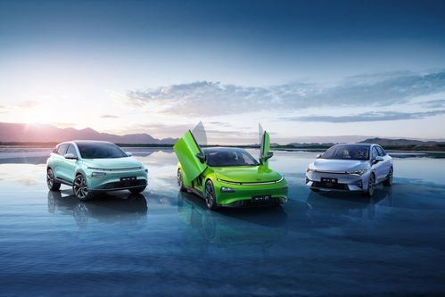 碧桂園文商旅碧虎杯3V3籃球賽跨界落地碧家國(guó)際社區(qū) 創(chuàng)新融合體育運(yùn)動(dòng)與汽車消費(fèi)