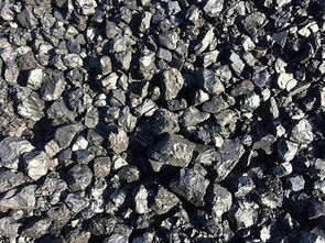 茂名塊煤市場概況與水產品供應的區域經濟關聯